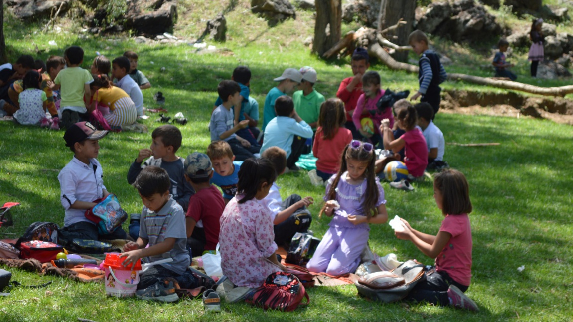 Çalışlar İlkokulu Piknikte